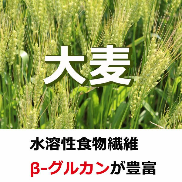 岡山県美作市産キラリモチ もち麦くん