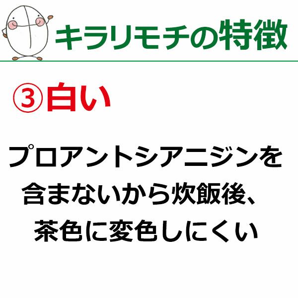 岡山県美作市産キラリモチ もち麦くん