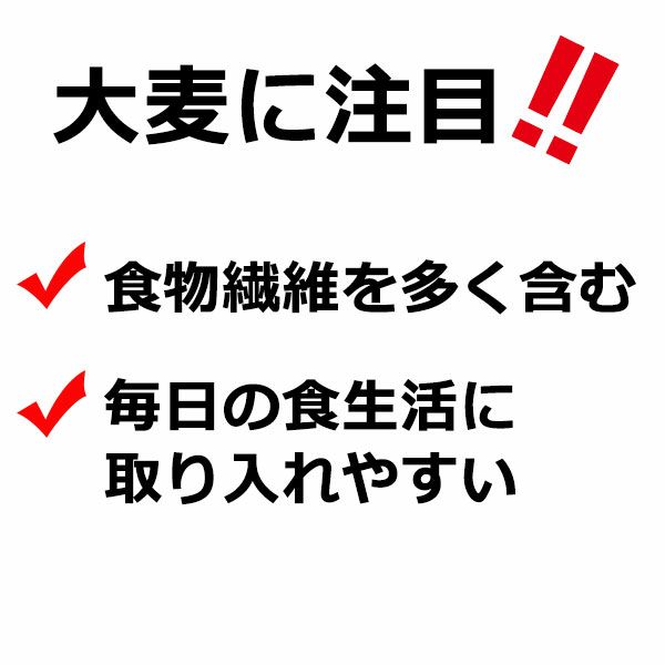 バーリーマックス(R)　スーパー大麦のちから