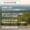 オレオエステパ社エグレヒオ（スペイン）457g
