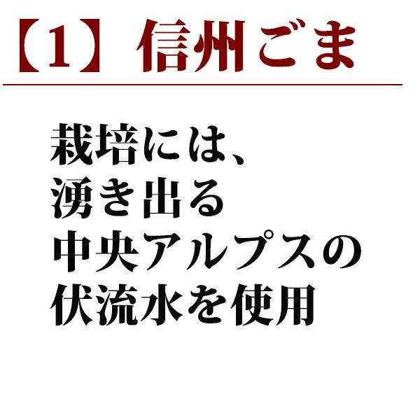 信州ごま ねりごま黒