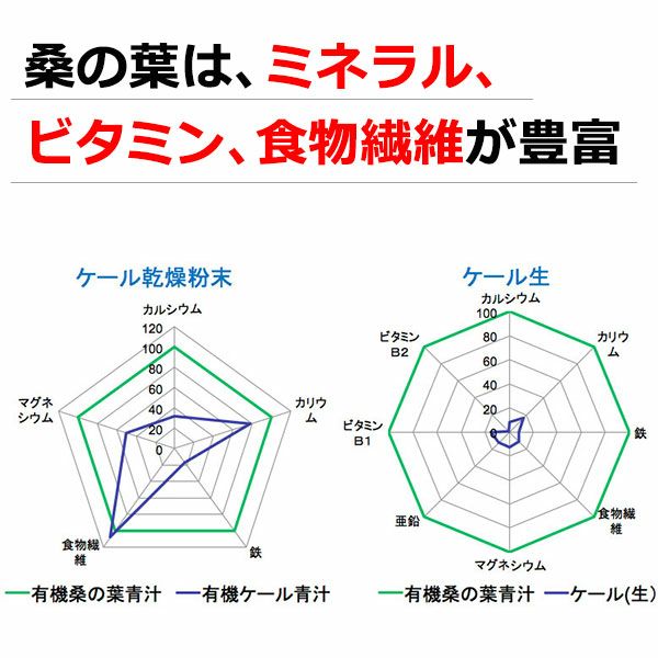 島根県桜江町 有機桑パウダー