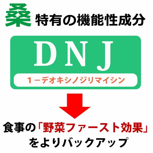 島根県桜江町 有機桑パウダー