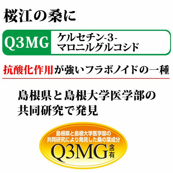 島根県桜江町 有機桑パウダー