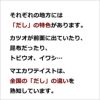 それぞれの地方には「だし」の特色があります。マエカワテイストは全国の「だし」の違いを熟知しています。