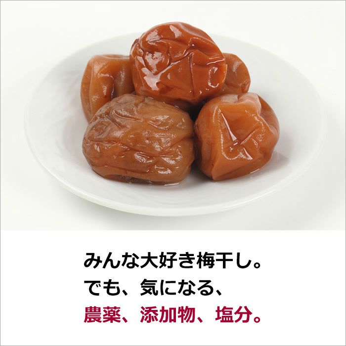 農薬不使用　梅　気軽に質問コーナー 農薬不使用 梅 気軽に質問コーナー