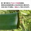 朝一番で採れたアロエベラ生葉を剥皮、 新鮮なまま急速冷凍したものを日本に運びます。 日本に輸入する際は、食品として輸入されます。