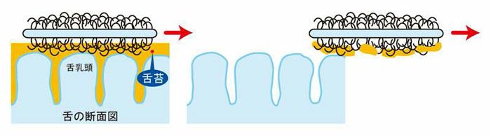 舌ブラシ W-1 ダブルワンネクスト