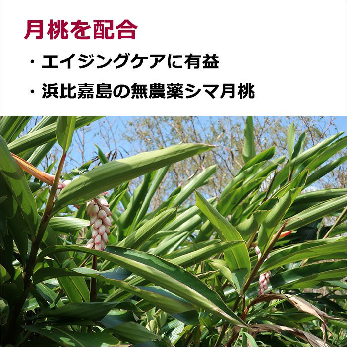 月桃を配合  ・エイジングケアに有益  ・浜比嘉島の無農薬シマ月桃