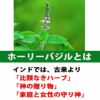 クオン ヴァーナライザー ボディオイル・イン・ローション