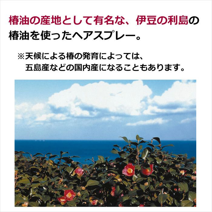 椿油の産地として有名な、伊豆の利島の椿油を使ったヘアスプレー。 ※天候による椿の発育によっては、五島産などの国内産になることもあります。