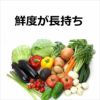 シェリスタ 除菌・消臭剤 パウダー