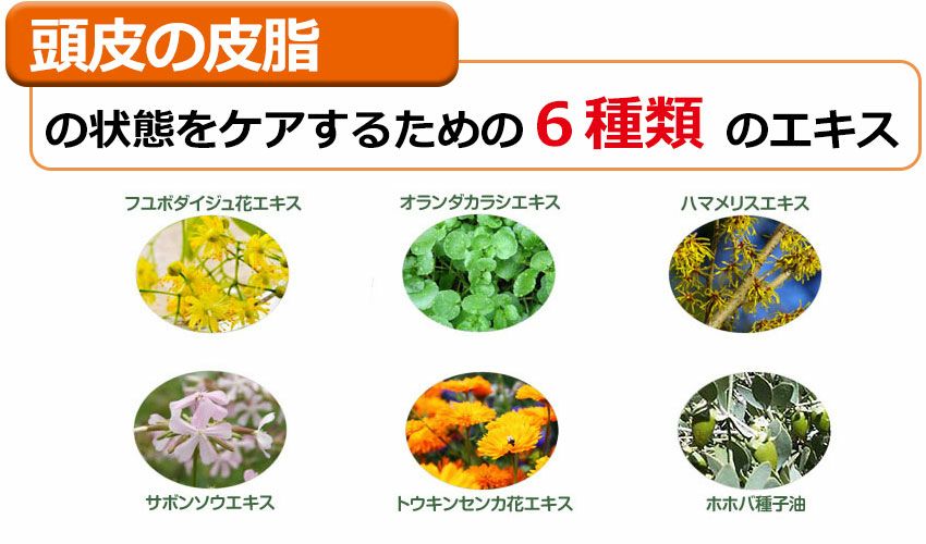 ブラック・ナチュラル・ヘアソープ