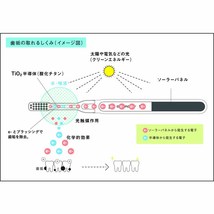 ソーラー歯ブラシ SOLADEY （ ソラデー ） 5