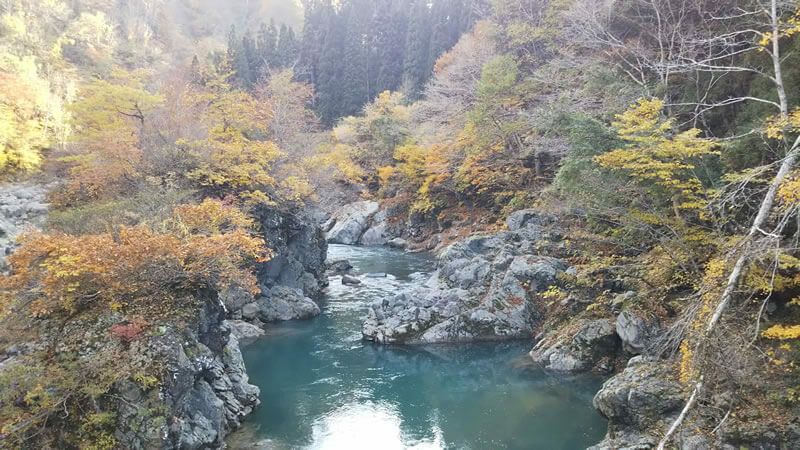 津南高原の雪下にんじんジュース