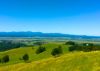 北海道滝上町ハッカ油 ハッカ油スプレー